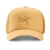Beste Pirce 😍 Herre ArcTeryx Bird Trucker Curved (Retreat) 🎁 -Tilbehør Salgsbutikk ArcTeryx Bird Trucker Curved Retreat